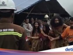 Viral Suku Togutil Mendekat Hingga Area Tambang, Antropolog: Bisa Karena Itu Minta Makan