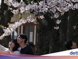 ‘Friendship Marriage’ Lagi Ngetren Hingga Jepang, Menikah Tanpa Cinta-Seks