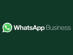 Begini Cara Menggunakan WhatsApp Business Bersama Nomor yang Sama