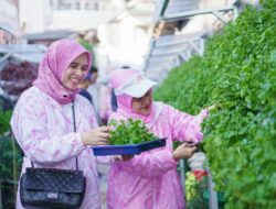 BRI Peduli-BRInita bersama Kelompok Dasawisma Pisang Hingga Palembang Sulap TPS Liar Karena Itu Urban Farming