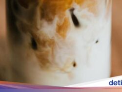 Agar Es Minuman Tetap Enak hingga Tetes Terakhir, Lakukan Tips Mudah Ini