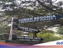 Mau Piknik Hingga Kebun Raya Bali, Hingga Sana Ada Paket Barbekunya!