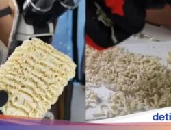 Heboh! Penampakan Organisme Hidup Ke Mie Instan Dilihat Di Mikroskop