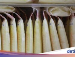 Kata Kemenkes soal Pemberian ASI Terbaik, Disimpan Di Freezer Bisa Rusak Standar?