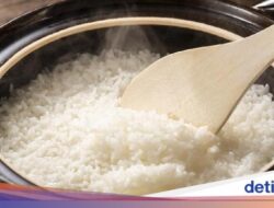 Benarkah Nasi Dingin Lebih Rendah Gula Dibanding Nasi Panas Mutakhir Matang?