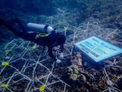 Jaga Ekosistem Laut dan Kembangkan Potensi Wisata Lokasi, BRI Menanam Grow & Green