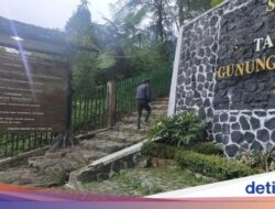 Pendaki Bapak-bapak Tewas Di Gunung Gede Pangrango