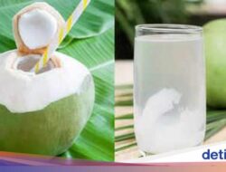 Tips Memanfaatkan Batok Kelapa Muda, Cocok Karena Itu Wadah Dessert!