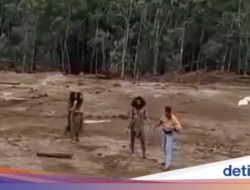 Tentang Suku Togutil Di Halmahera yang Diganggu Tambang Hingga Keluar Hutan