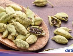 Catat! 7 Rempah Ini Bantu Turunkan Tekanan Darah Secara Alami