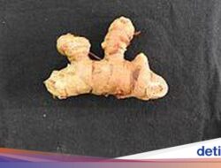 5 Khasiat Kunyit Putih yang Jarang Diketahui, Termasuk Buang Racun Bersama Tubuh