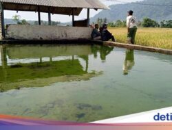 Mitos-mitos Ke Mata Air Cigempol, Konon Bisa Bikin Awet Muda