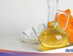 Ini Jenis Energi Goreng yang Aman Dikonsumsi Penderita Asam Lambung