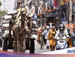 Suhu Panas India Makin Parah! Nyaris 50 Derajat Celcius, 13 Orang Meninggal