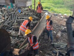 Peningkatan Produksi Biomassa PLN Dorong Lapangan Kerja Di Lokasi