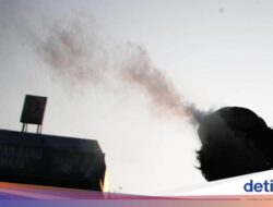 Gawat! Perokok Aktif Ke RI Menimbulkan Kekhawatiran, Mayoritas Anak Muda