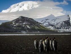 Penampakan Pulau Paling Misterius Ke Australia