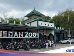 Penanaman Modal Medan Zoo Dimulai Bulan Didepan!