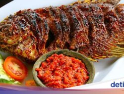 3 Resep Ikan Bakar Paling Populer, Gurih Pedas dan Sedap Aromanya