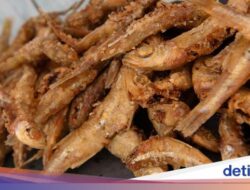 3 Resep Ikan Teri Goreng yang Gurih Renyahnya Bikin Nagih