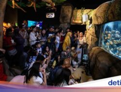 Serunya Habiskan Libur Panjang Hingga Jakarta Aquarium dan Safari