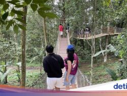 The Grand Lagunas, Wahana Permainan Seru Ke Hutan Batur Selatan