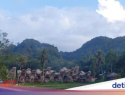 Menikmati Minuman Kafein Toraja Ke Tanahnya Tumbuh