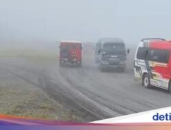 Agen Travel Didalam Rombongan ELf yang Viral Dipanggil Polisi dan BBTNBTS