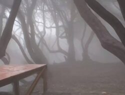 Viral! Warung Makan Ke Tangkuban Parahu Punya Pemandangan Hutan bak Layar Lebar Harry Potter