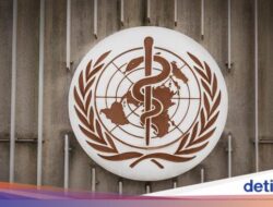 Peringatan WHO! Peristiwa Pidana Penyakit Menyebar Seks Menular Naik, Mulai Sifilis-HIV