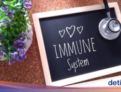 Cara Jaga Daya Bertahan Tubuh yang Benar Itu Seperti Apa Sih? Ini Kata Ahli Kepuasan