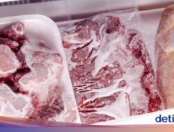 3 Cara Mencairkan Daging Beku Didalam Cepat dan Higienis