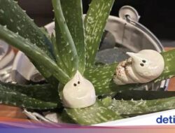 10 Penyajian Minuman yang Bikin Geleng Kepala Sebab Terlalu Kreatif