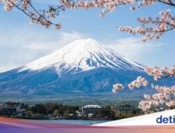 Risih Di Turis Nakal, Kota Fuji Tutup Spot Foto View Gunung Fuji