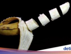 Nasib Bocah Alami Penis Putus usai Disunat Kepala Puskesmas, Begini Kondisinya