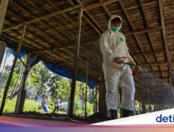 Misteri Kematian Pertama Ke Manusia Akibat H5N2, Tertular Di Minuman?