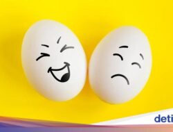 Testis Besar Sebelah, Normalkah? Ini Pesan Praktisi Medis Urologi