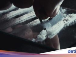 Resep-Obatan Terlarang ‘Zombie’ Belum Kelar, Organisasi Internasional Beri Warning Opioid Mutakhir Picu Lonjakan Kematian