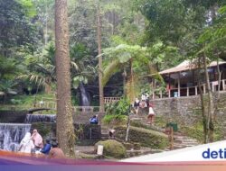 Cuaca Panas Begini, Emang Cocok Berendam Di Curug Cipeuteuy Majalengka