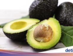 12 Manfaat Alpukat Sebagai Kesejaganan Tubuh