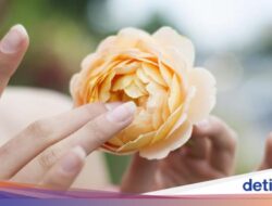 Jangan Sampai Salah, Begini Cara Bersihkan ‘Miss V’ yang Aman