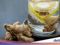 Ternyata Segini Takaran Minum Air Jahe yang Aman Setiap Hari