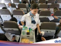 Sains Ungkap Rasa Hidangan Di Pesawat Di Sebab Itu Berbeda