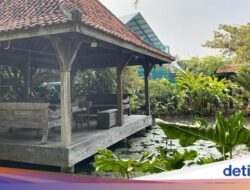 Terbaru! Kafe Ke BSD yang Punya Kolam Di Nuansa Asri Teduh