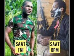 3 Fakta Anggota TNI Membelot Gabung OPM
