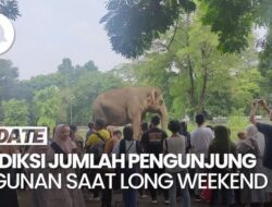 Puncak Kunjungan Taman Margasatwa Ragunan Diprediksi Terjadi Selasa