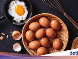 4 Beda Telur Omega dan Telur Biasa, Bisakah Dilihat Mata Telanjang?