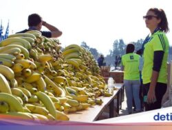 Ada Benarnya, Pisang Bisa Bantu Cegah Kram Di Marathon! Ini Alasannya