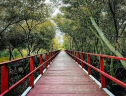 5 Destinasi Wisata Alam dan Pelatihan Hingga Indramayu Sebagai Dikunjungi Di Libur Sekolah