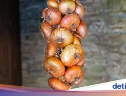 5 Fakta Bawang Bombai Vidalia yang Tak Bikin Nangis Pada Dipotong